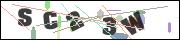 CAPTCHA image characters