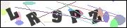 CAPTCHA image characters