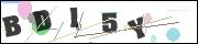 CAPTCHA image characters