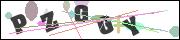 CAPTCHA image characters
