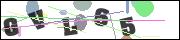 CAPTCHA image characters