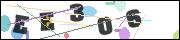 CAPTCHA image characters