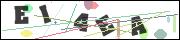 CAPTCHA image characters