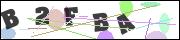 CAPTCHA image characters