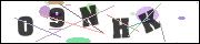 CAPTCHA image characters