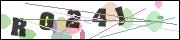CAPTCHA image characters