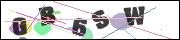 CAPTCHA image characters