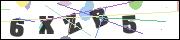 CAPTCHA image characters