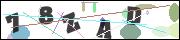 CAPTCHA image characters