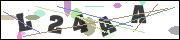 CAPTCHA image characters