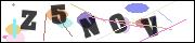 CAPTCHA image characters