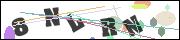 CAPTCHA image characters