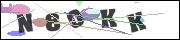 CAPTCHA image characters
