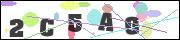 CAPTCHA image characters
