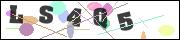 CAPTCHA image characters