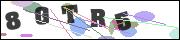 CAPTCHA image characters