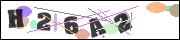 CAPTCHA image characters