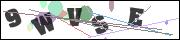 CAPTCHA image characters