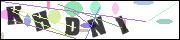 CAPTCHA image characters