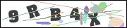 CAPTCHA image characters