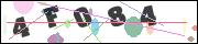 CAPTCHA image characters