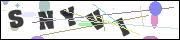 CAPTCHA image characters