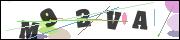 CAPTCHA image characters