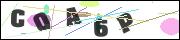 CAPTCHA image characters