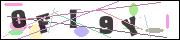 CAPTCHA image characters