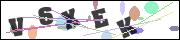 CAPTCHA image characters