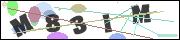 CAPTCHA image characters