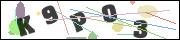 CAPTCHA image characters