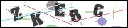 CAPTCHA image characters