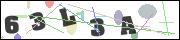 CAPTCHA image characters