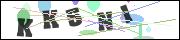 CAPTCHA image characters