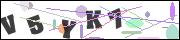 CAPTCHA image characters