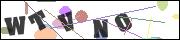 CAPTCHA image characters