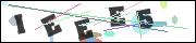 CAPTCHA image characters