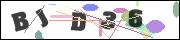 CAPTCHA image characters