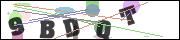 CAPTCHA image characters