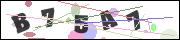 CAPTCHA image characters