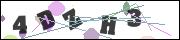 CAPTCHA image characters