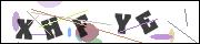 CAPTCHA image characters