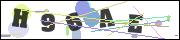 CAPTCHA image characters
