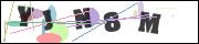 CAPTCHA image characters
