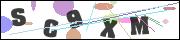 CAPTCHA image characters