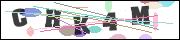 CAPTCHA image characters
