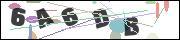CAPTCHA image characters