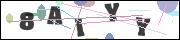 CAPTCHA image characters