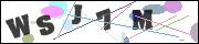 CAPTCHA image characters
